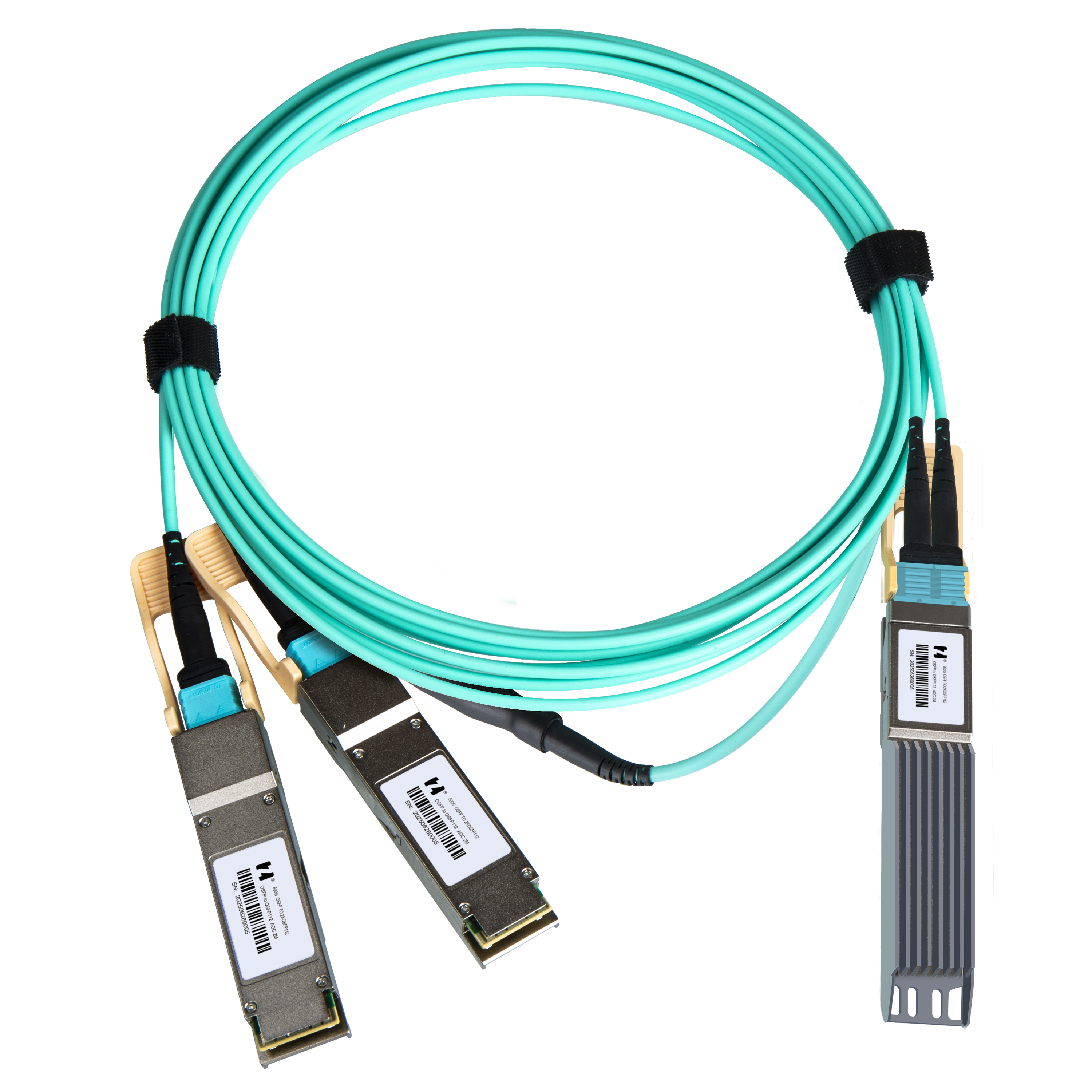 鸿章800G-AOC高速传输OSFP TO 2×QSFP112多模直连光缆超算IB