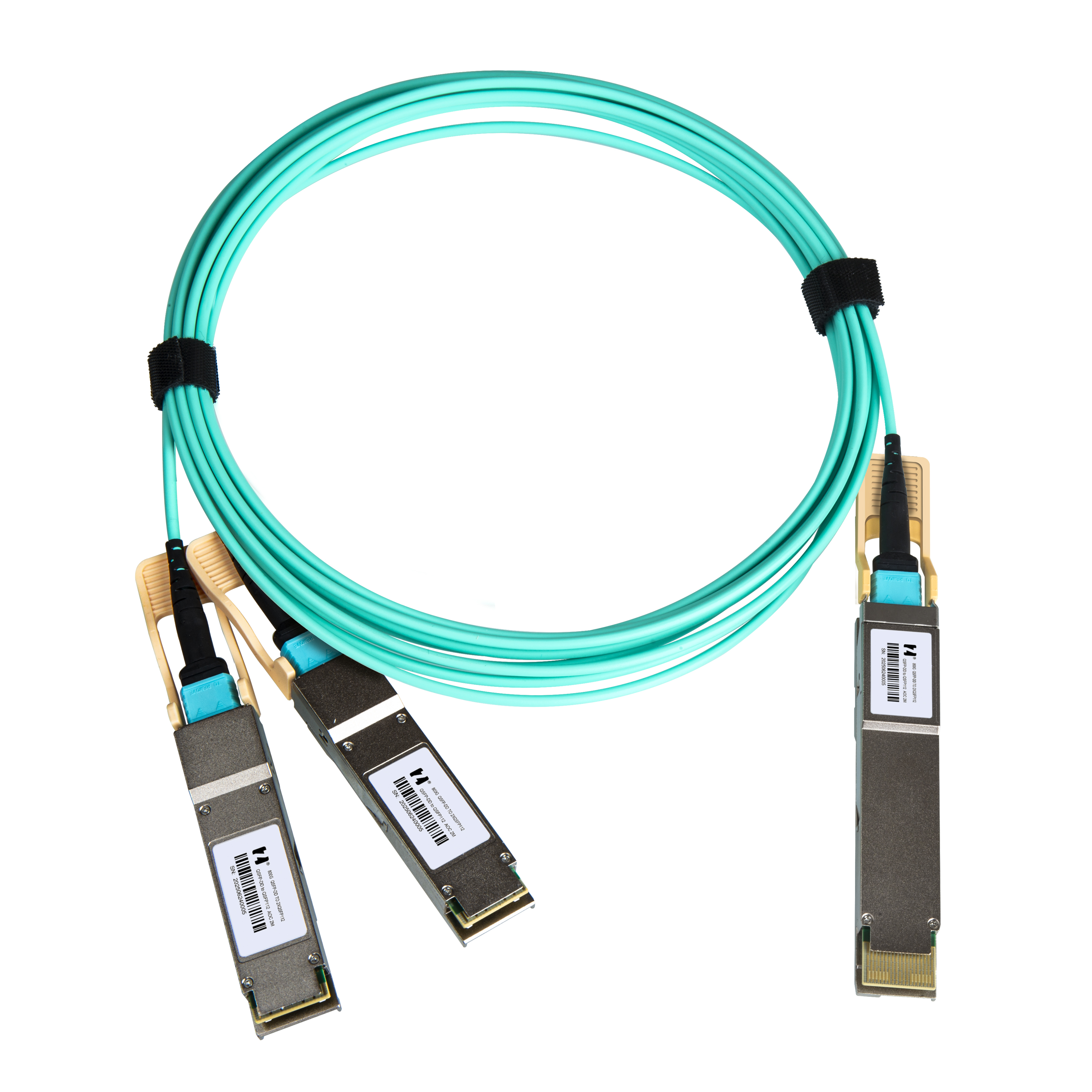 鸿章800G-AOC高速传输QSFP-DD TO 2×QSFP112多模直连光缆超算IB